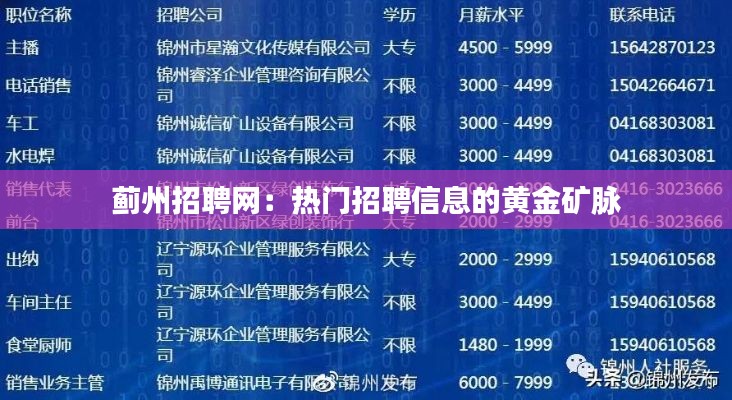 蓟州招聘网:热门招聘信息的黄金矿脉