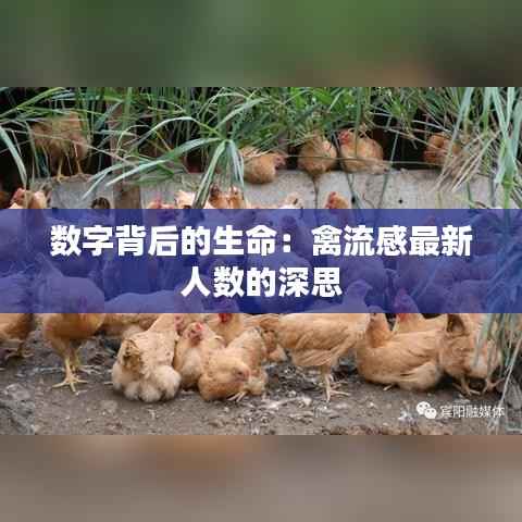 数字背后的生命：禽流感最新人数的深思