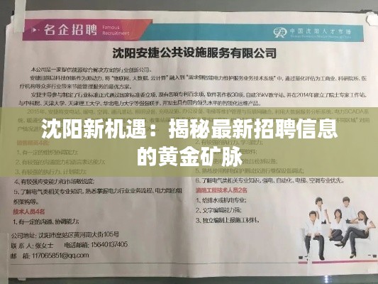沈阳新机遇：揭秘最新招聘信息的黄金矿脉
