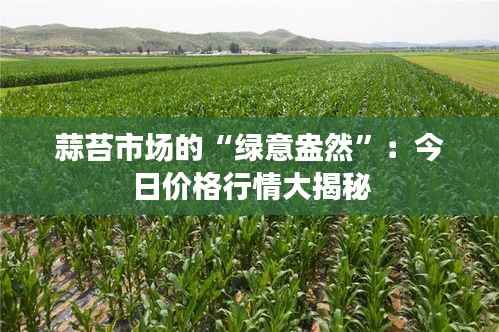 蒜苔市场的“绿意盎然”：今日价格行情大揭秘