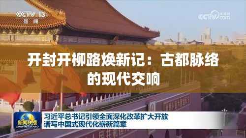 开封开柳路焕新记:古都脉络的现代交响