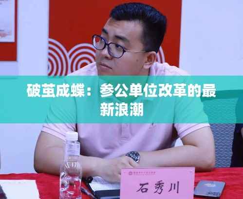 破茧成蝶:参公单位改革的最新浪潮