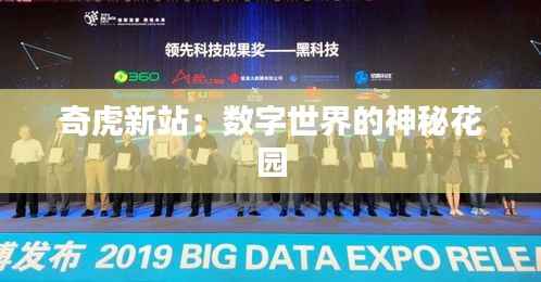 奇虎新站:数字世界的神秘花园