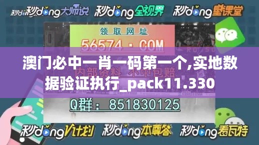 澳门必中一肖一码第一个,实地数据验证执行_pack11.330