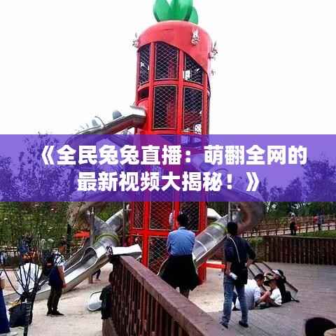 《全民兔兔直播：萌翻全网的最新视频大揭秘！》