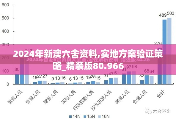 2024年新澳六舍资料,实地方案验证策略_精装版80.966