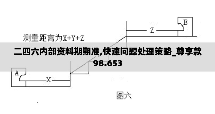 二四六内部资料期期准,快速问题处理策略_尊享款98.653