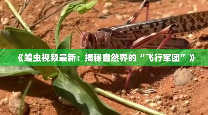 飞奇钩货 第4页