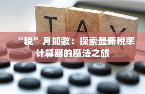 “税”月如歌:探索最新税率计算器的魔法之旅