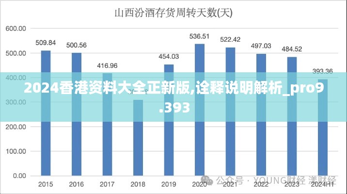 2024香港资料大全正新版,诠释说明解析_pro9.393