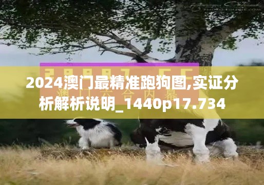 2024澳门最精准跑狗图,实证分析解析说明_1440p17.734