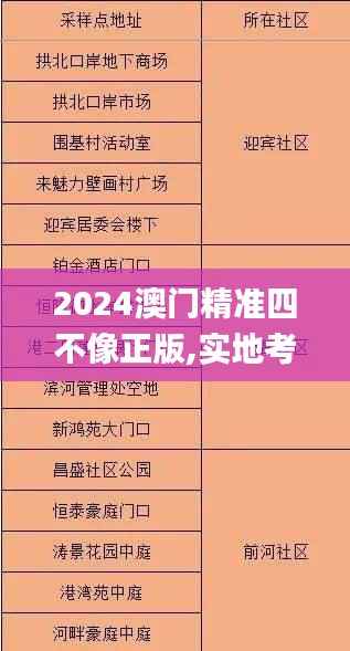 2024澳门精准四不像正版,实地考察数据设计_R版2.939