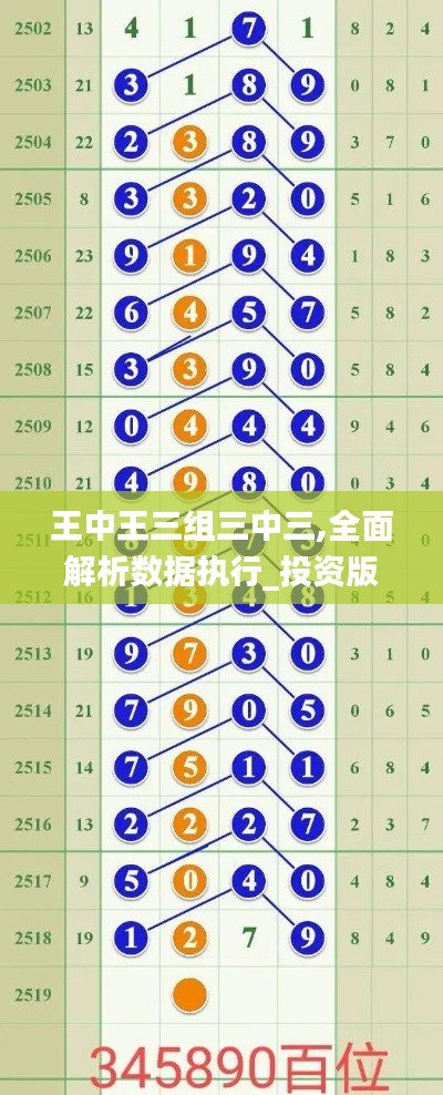 王中王三组三中三,全面解析数据执行_投资版9.484