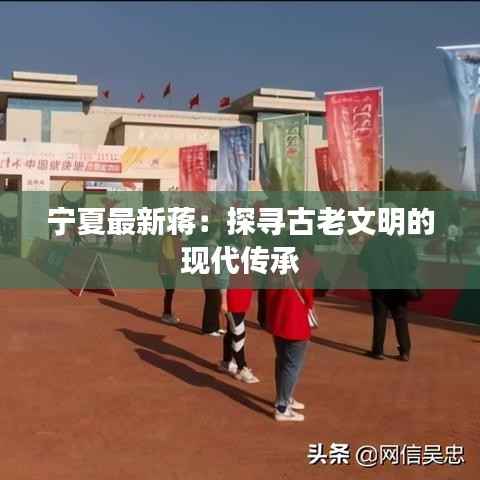 宁夏最新蒋:探寻古老文明的现代传承