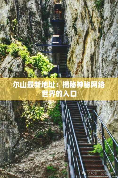 尔山最新地址:揭秘神秘网络世界的入口