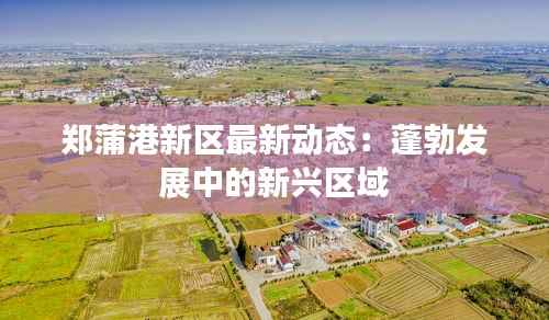 郑蒲港新区最新动态:蓬勃发展中的新兴区域