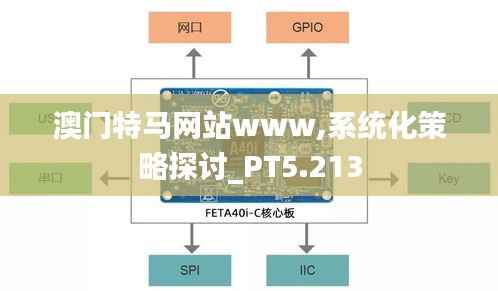 澳门特马网站www,系统化策略探讨_PT5.213