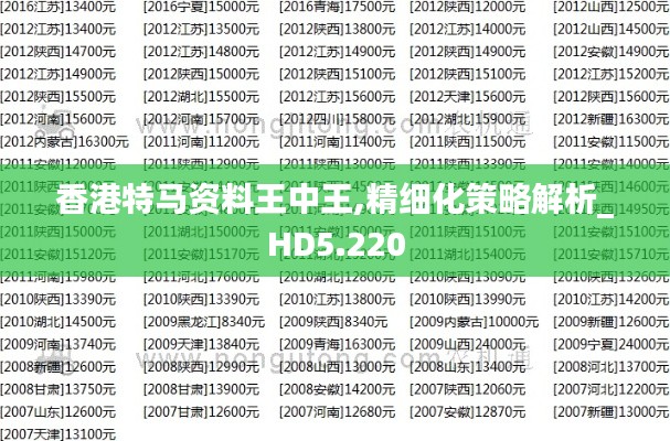 香港特马资料王中王,精细化策略解析_HD5.220