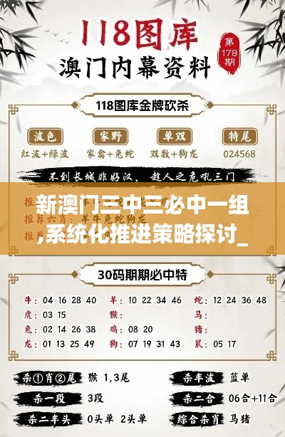 新澳门三中三必中一组,系统化推进策略探讨_高级款4.996