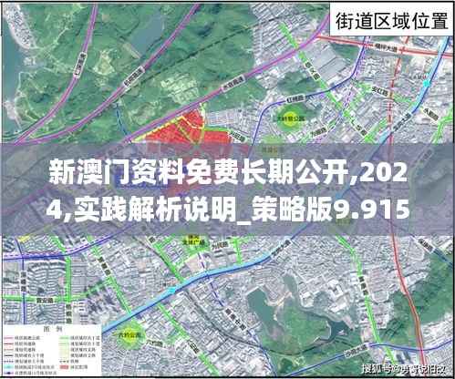 新澳门资料免费长期公开,2024,实践解析说明_策略版9.915
