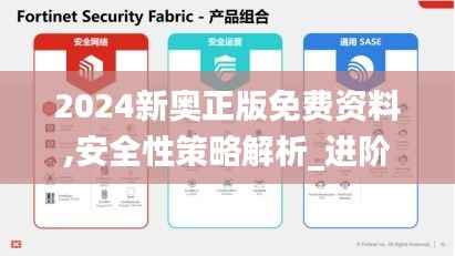 2024新奥正版免费资料,安全性策略解析_进阶版14.486