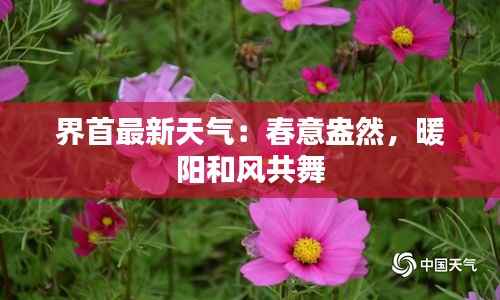 界首最新天气:春意盎然,暖阳和风共舞
