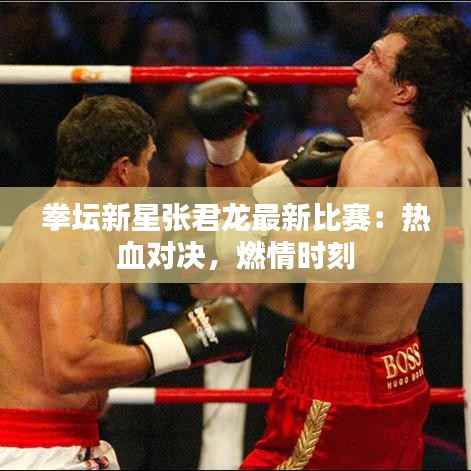 拳坛新星张君龙最新比赛:热血对决,燃情时刻