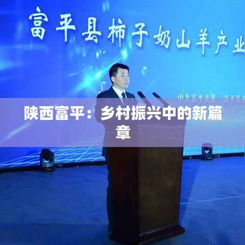陕西富平：乡村振兴中的新篇章