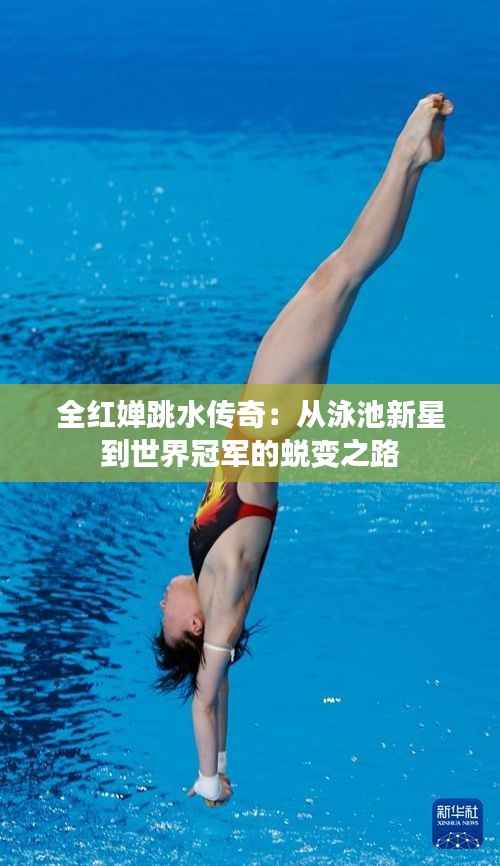 全红婵跳水传奇:从泳池新星到世界冠军的蜕变之路