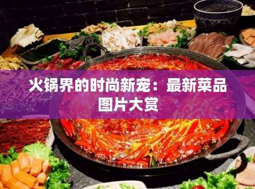 火锅界的时尚新宠:最新菜品图片大赏