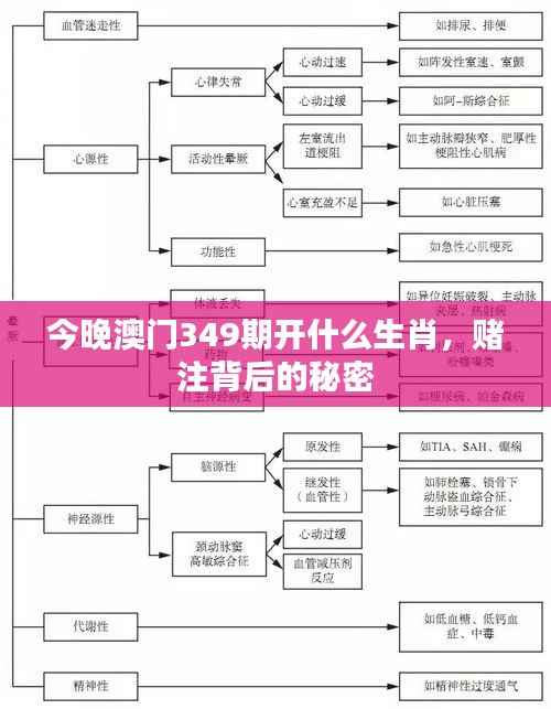 今晚澳门349期开什么生肖,赌注背后的秘密