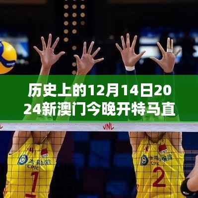 历史上的12月14日2024新澳门今晚开特马直播：一个全新时代的悄然开启
