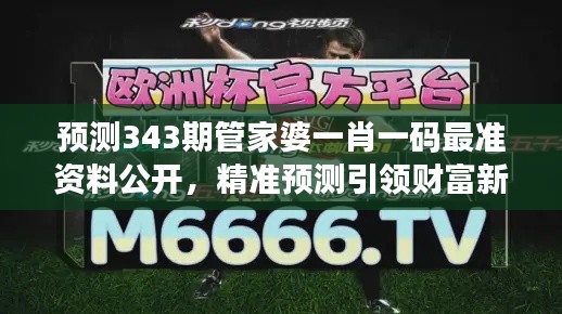 预测343期管家婆一肖一码最准资料公开,精准预测引领财富新风向