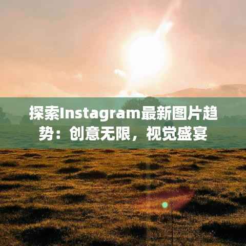 探索Instagram最新图片趋势:创意无限,视觉盛宴