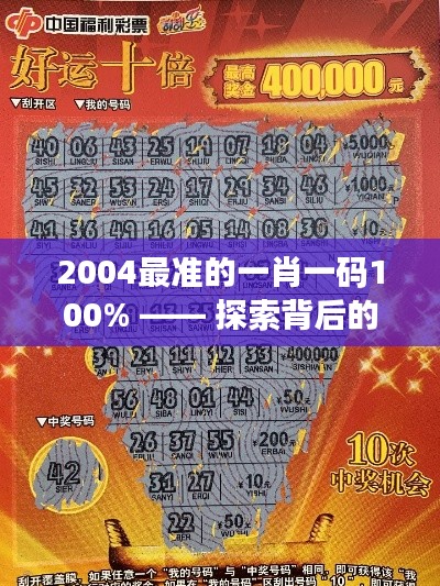 2004最准的一肖一码100% —— 探索背后的彩票预测神话
