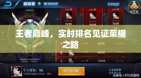 王者巅峰,实时排名见证荣耀之路