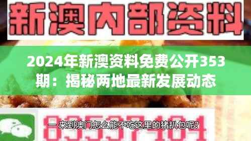 2024年新澳资料免费公开353期:揭秘两地最新发展动态