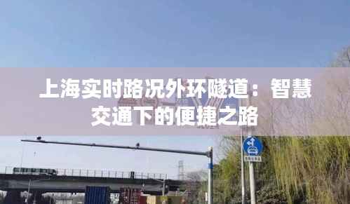 上海实时路况外环隧道:智慧交通下的便捷之路