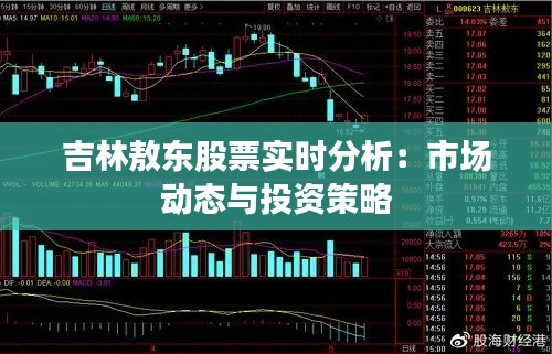吉林敖东股票实时分析:市场动态与投资策略