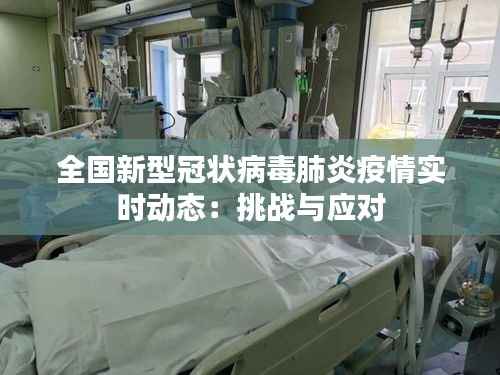 全国新型冠状病毒肺炎疫情实时动态:挑战与应对