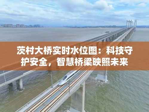 茨村大桥实时水位图：科技守护安全，智慧桥梁映照未来