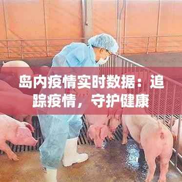 岛内疫情实时数据:追踪疫情,守护健康
