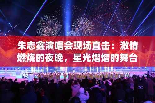 朱志鑫演唱会现场直击:激情燃烧的夜晚,星光熠熠的舞台