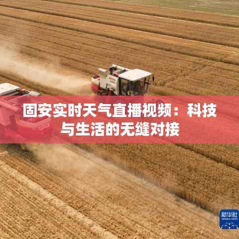 螓首蛾眉 第4页