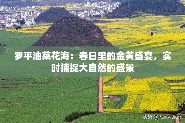 罗平油菜花海:春日里的金黄盛宴,实时捕捉大自然的盛景