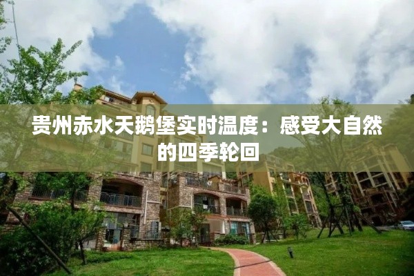 贵州赤水天鹅堡实时温度:感受大自然的四季轮回