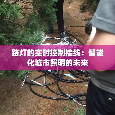 路灯的实时控制接线:智能化城市照明的未来