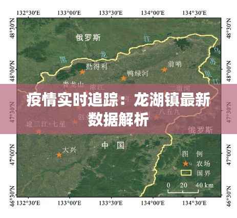 疫情实时追踪：龙湖镇最新数据解析