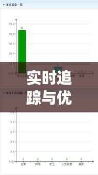 实时追踪与优化：标准计划实时效果的关键策略