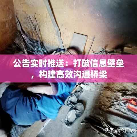 公告实时推送:打破信息壁垒,构建高效沟通桥梁